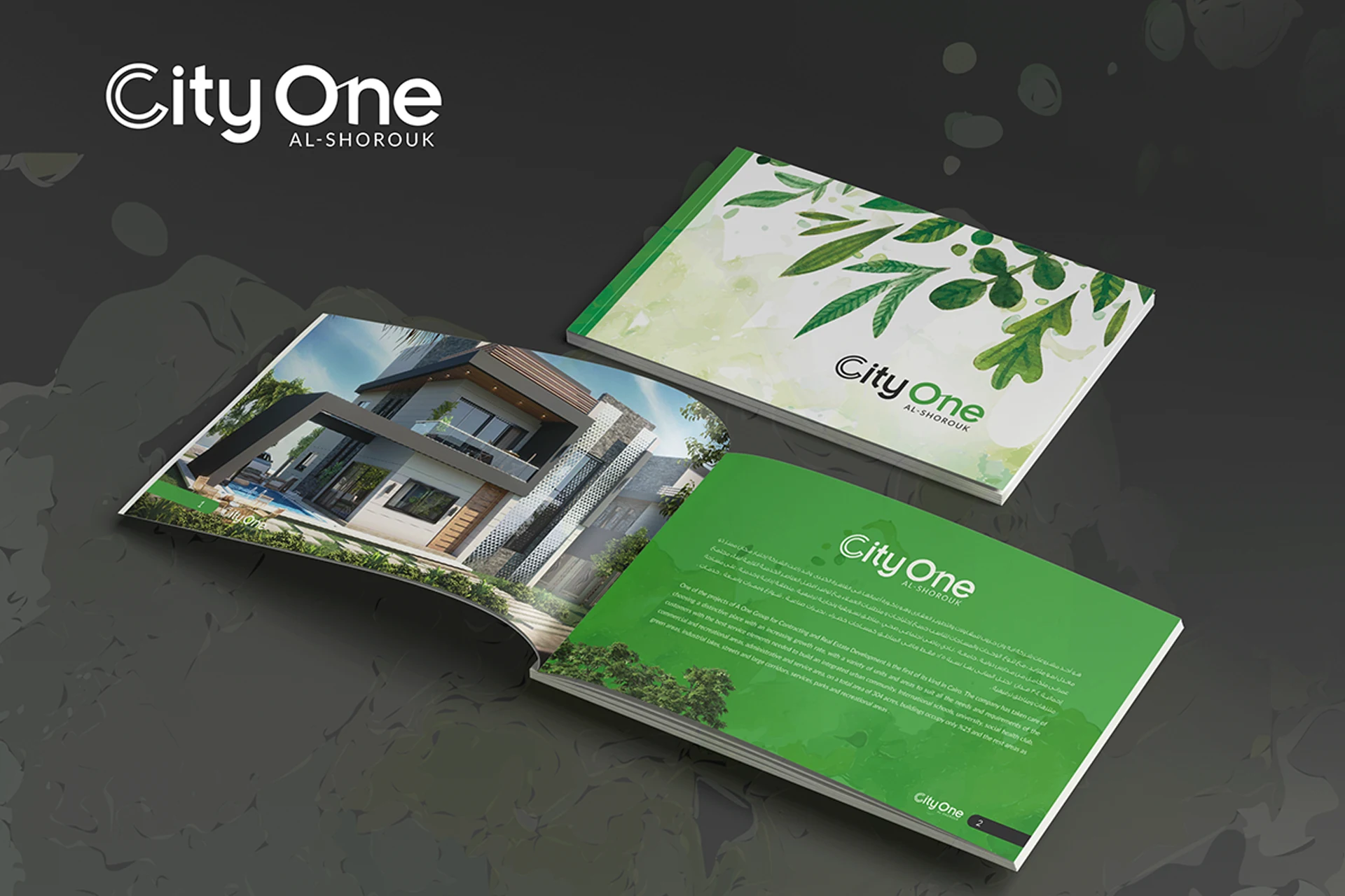 Real Estate - Brochures project image 22 by 8 Digital
